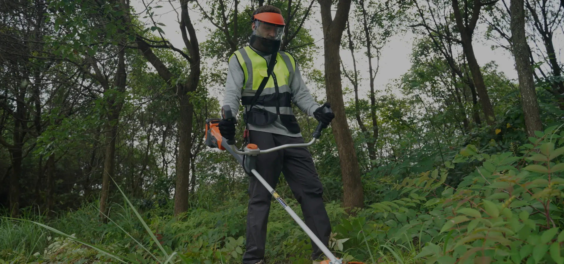 Desbrozadora con Asa de Bicicleta(Conexión a Bordo / Enchufable)