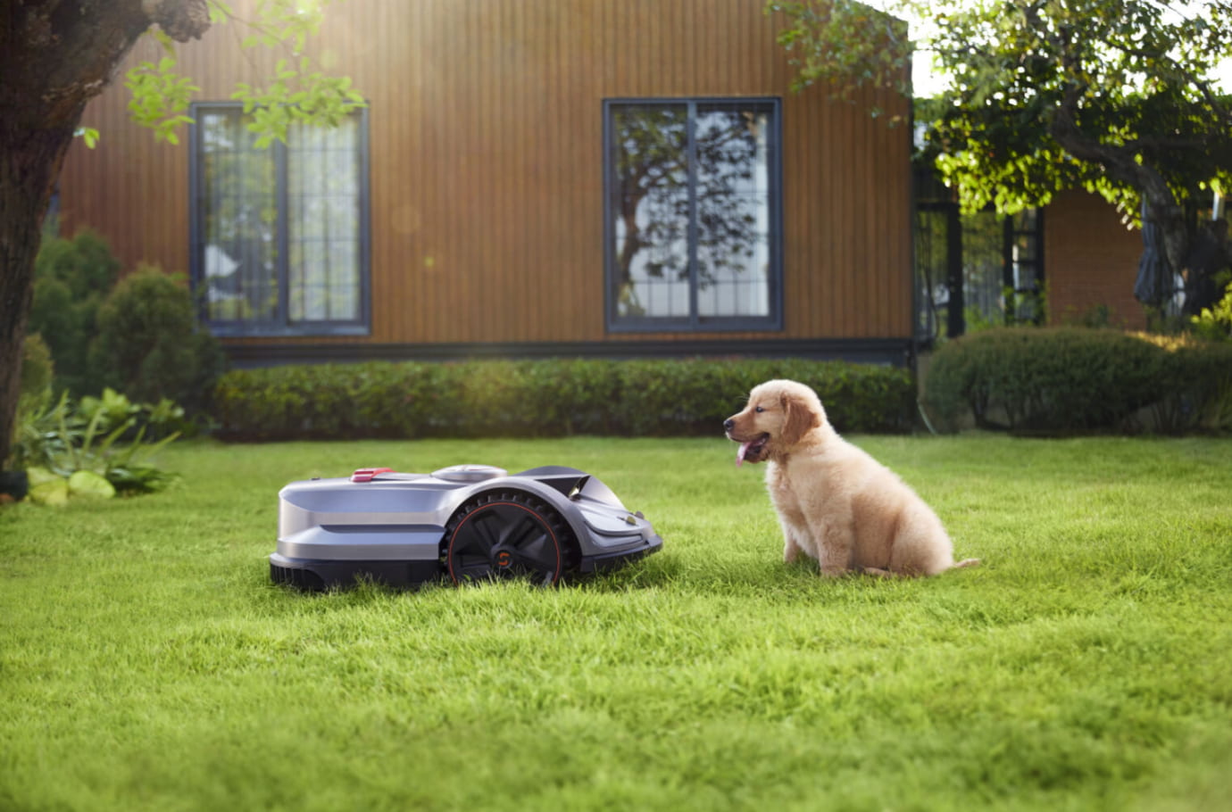 The Best Robot Lawn Mowers: Upgrade Your Garden with No Effort