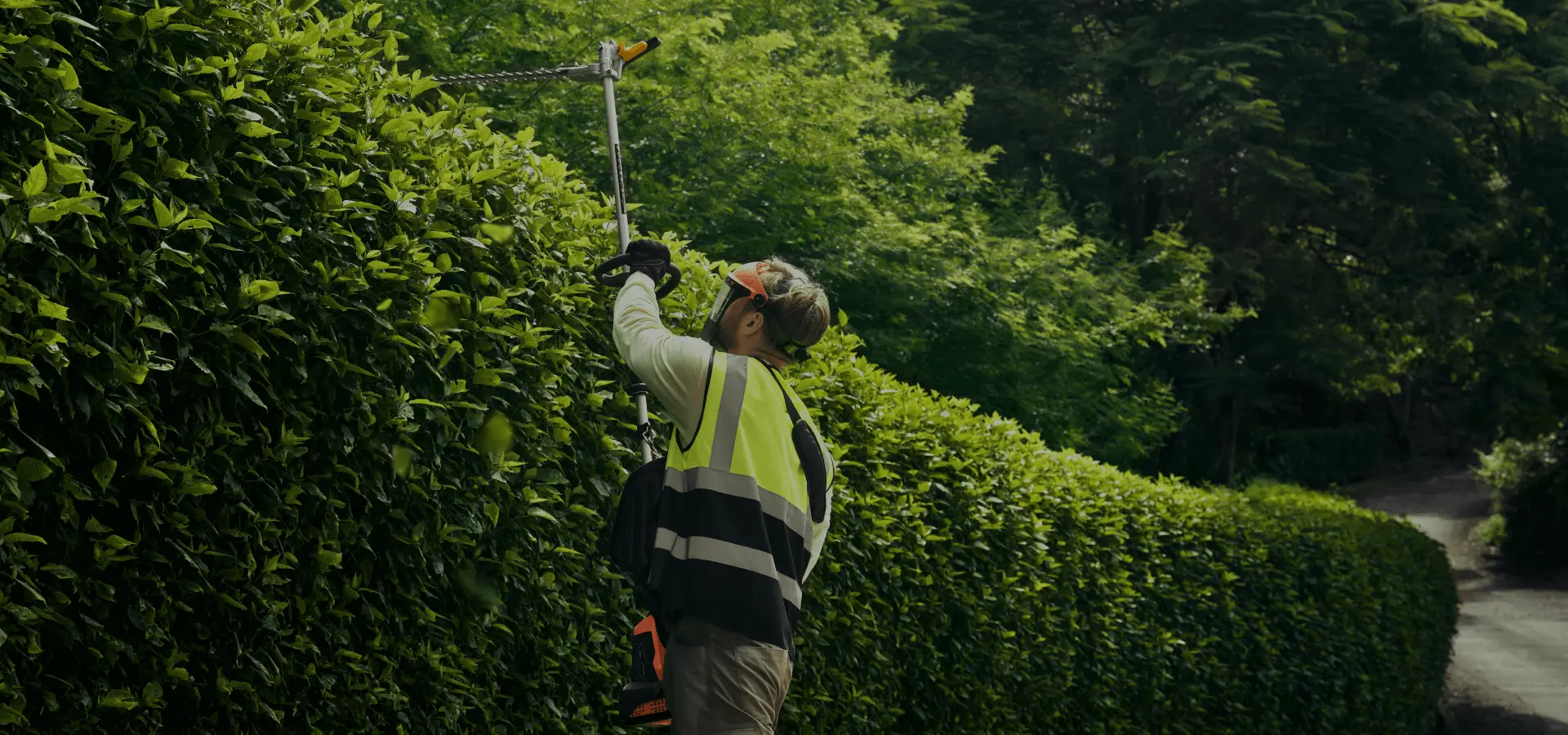 Tagliasiepi Telescopico (Connessione Integrata)