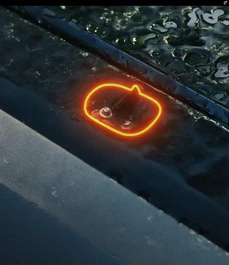 Rilevamento Automatico della Pioggia