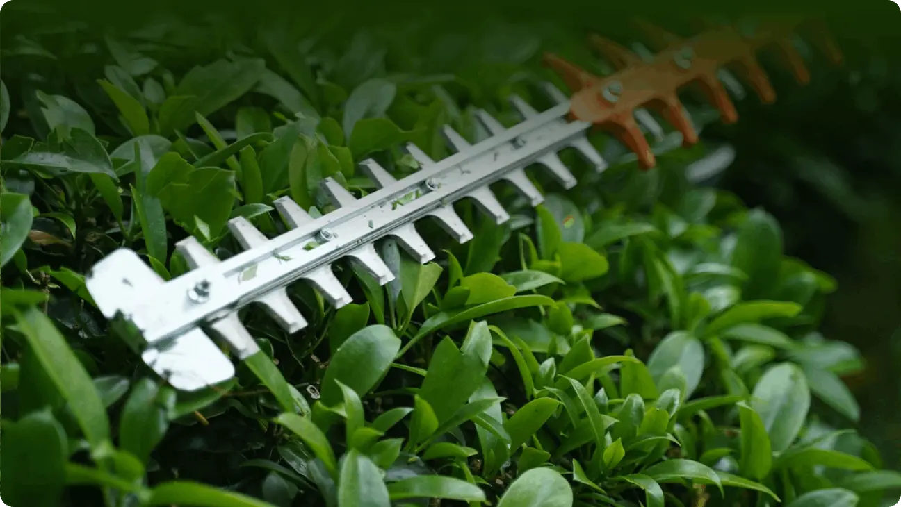 Kraftfull Borstlös Motor