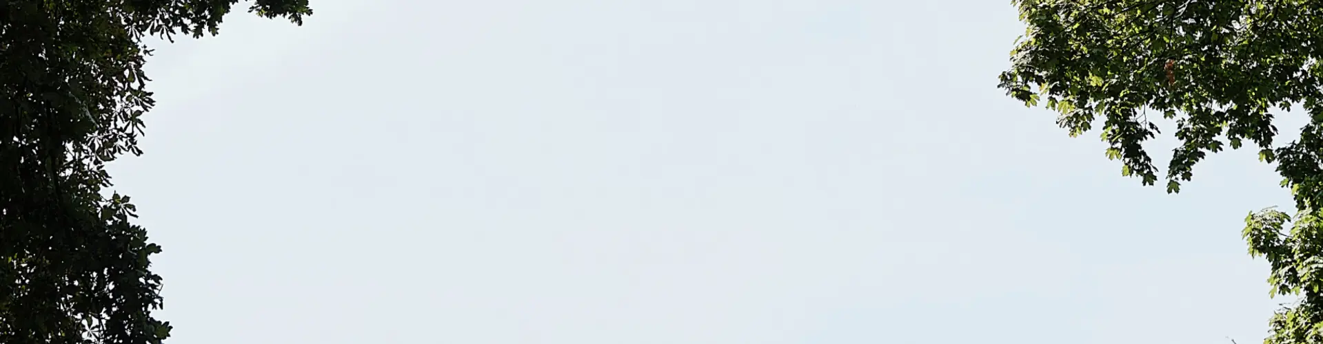 Hitro Najdite Prodajalca v Bližini