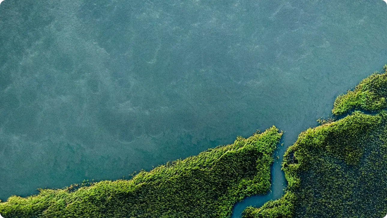 Eko-prijaznost In Trajnost Brez Kompromisov